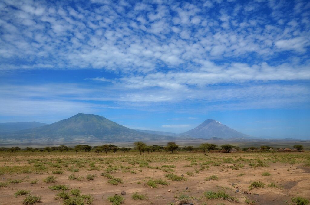 Appel de tanzanie | Safari Radar