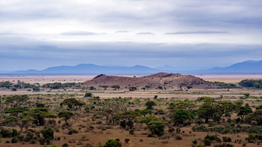 Avis safari tanzanie | Safari Radar