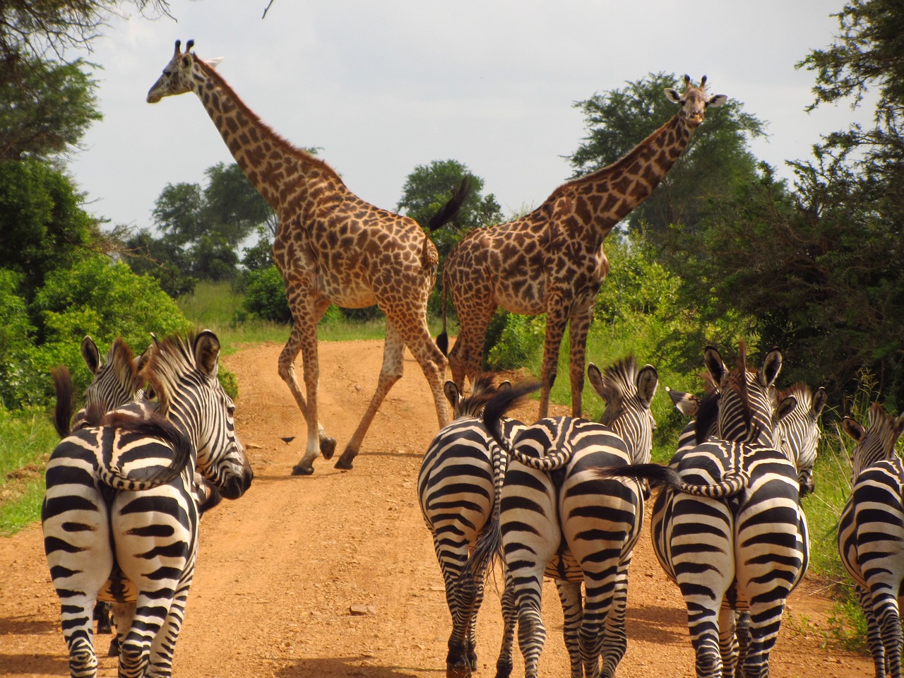combien d heure de vol pour la tanzanie