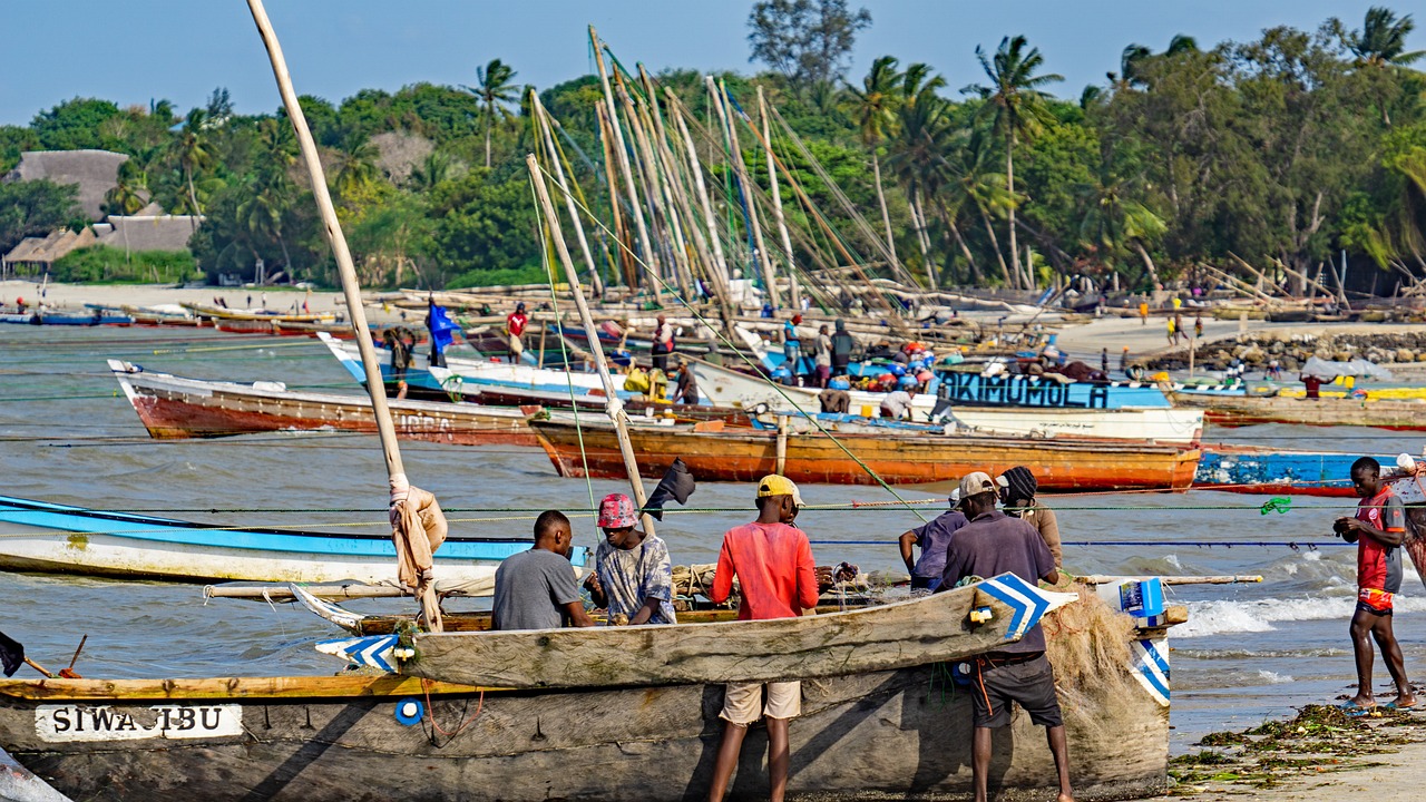 comment immigrer en tanzanie