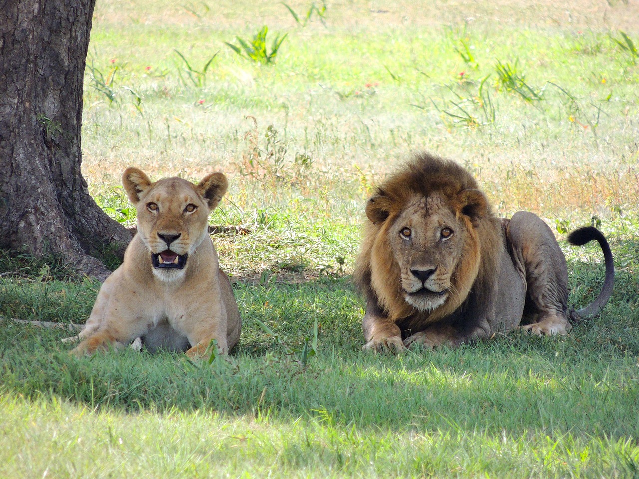 comment s'habiller safari tanzanie