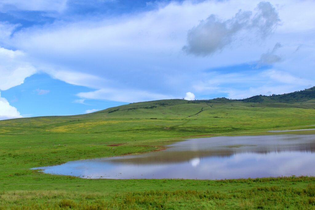 Dar es salam tanzanie | Safari Radar