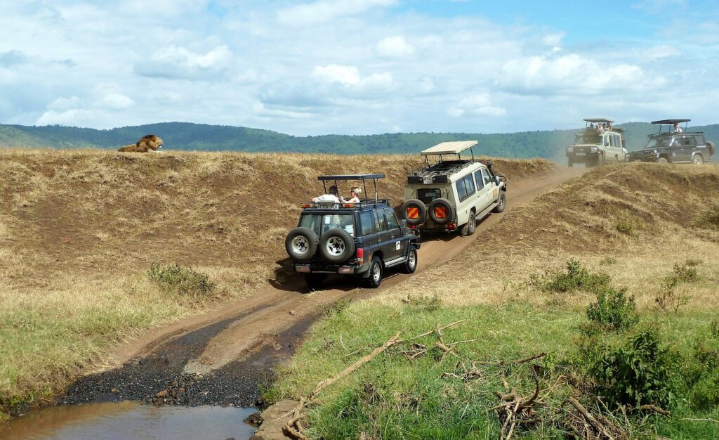 Est-ce que la tanzanie est dangereuse | Safari Radar