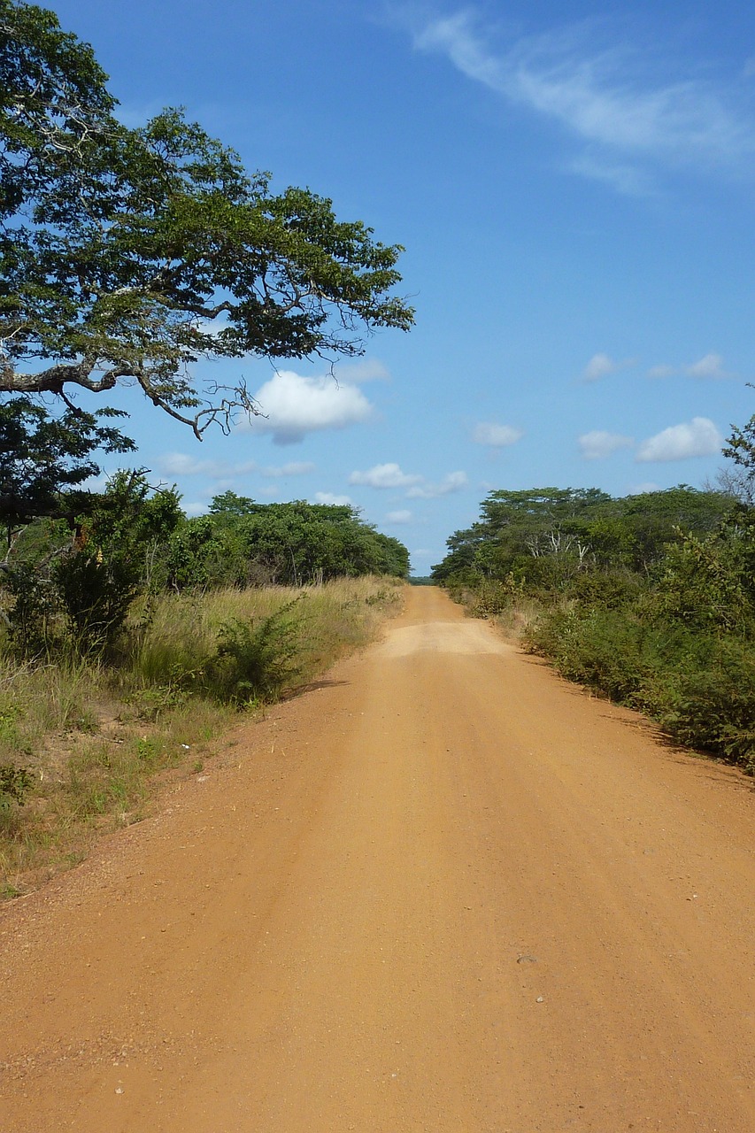 meilleure période pour aller en tanzanie