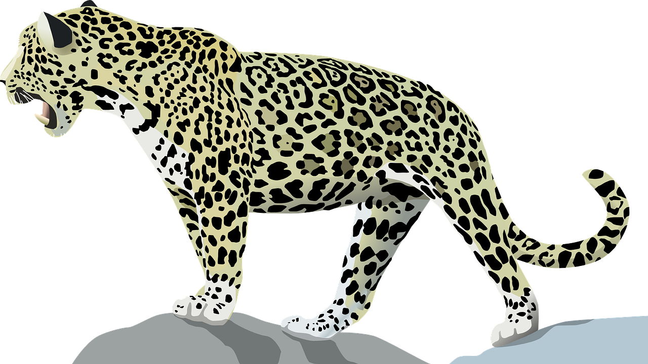 Moon safari