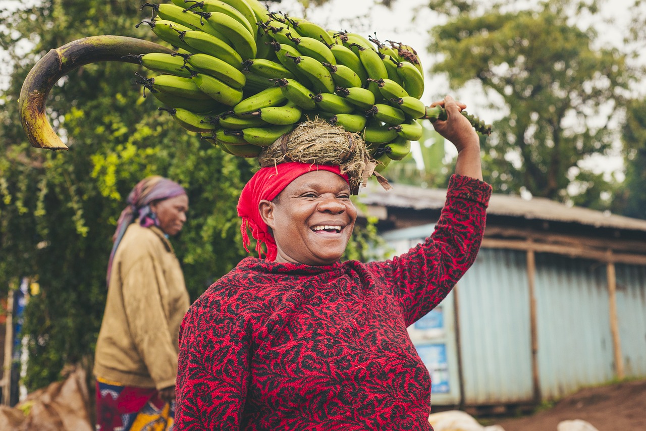 où se trouve la tanzanie