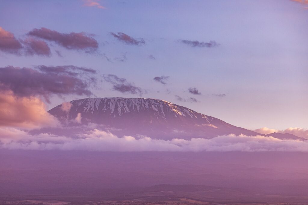 Quand aller en tanzanie | Safari Radar