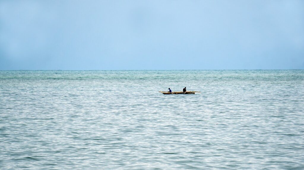 Quand faire safari tanzanie | Safari Radar