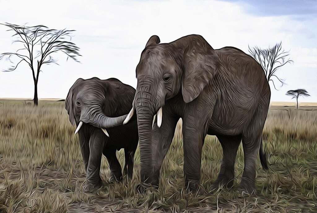 Quand partir en tanzanie et zanzibar | Safari Radar