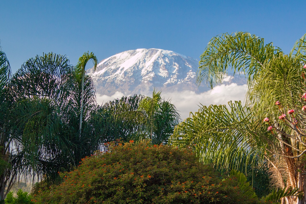 quand partir en tanzanie pour un safari
