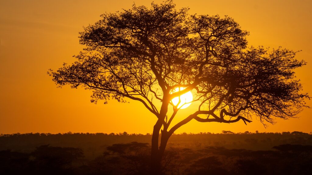 Que faire absolument en tanzanie | Safari Radar