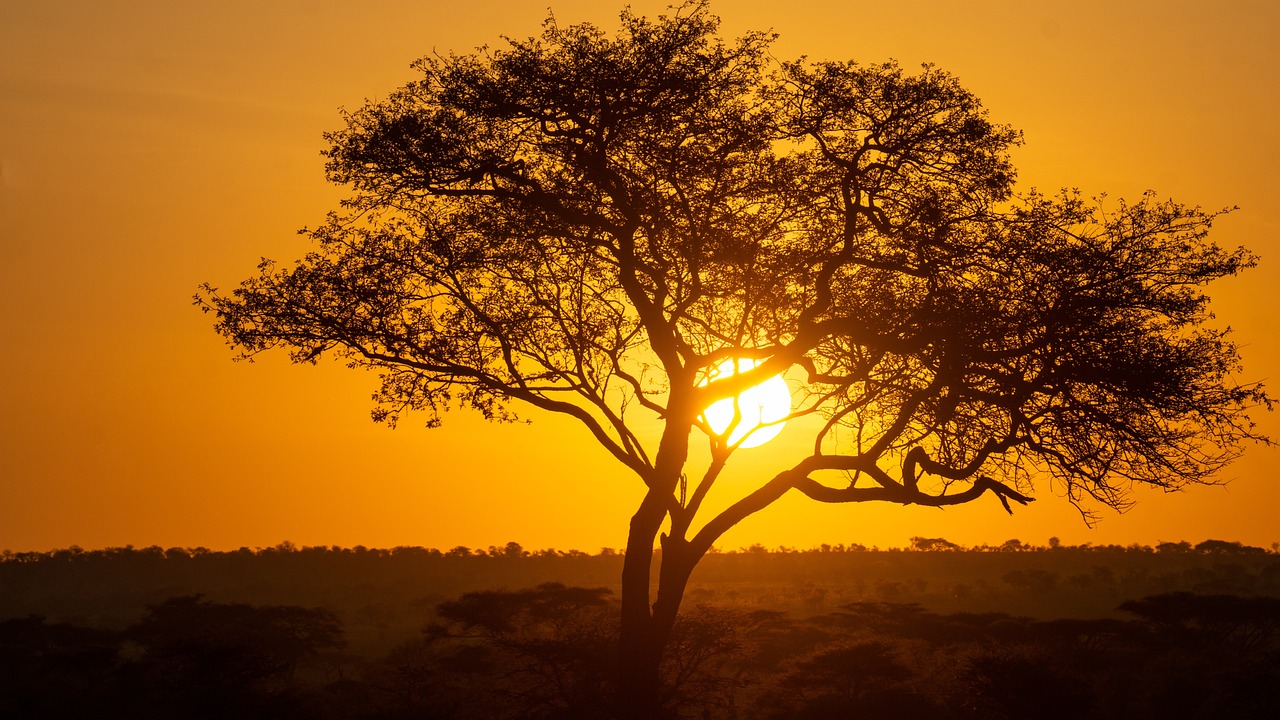 que faire absolument en tanzanie