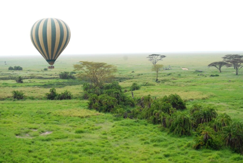 Que faire en tanzanie en aout | Safari Radar