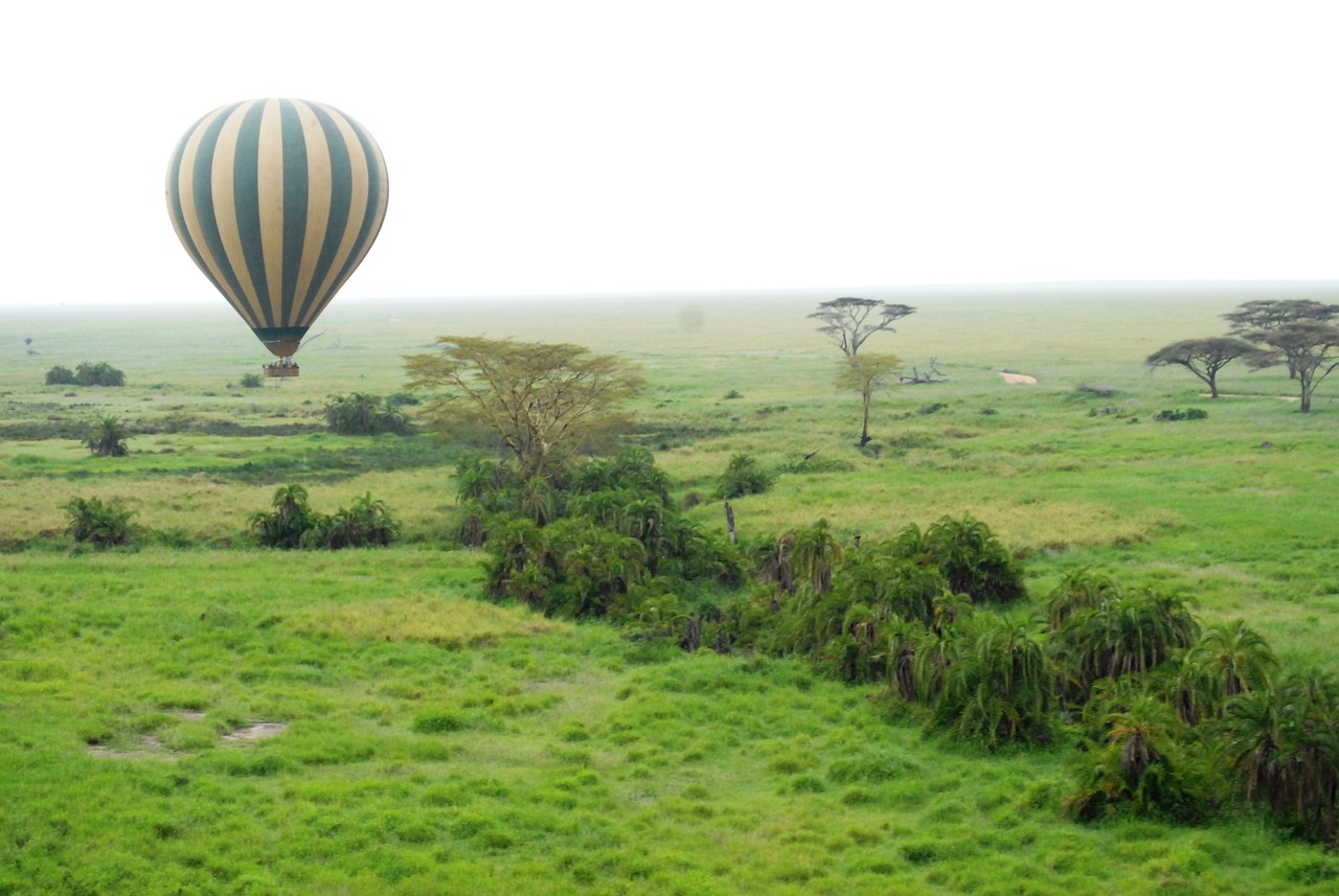 que faire en tanzanie en aout