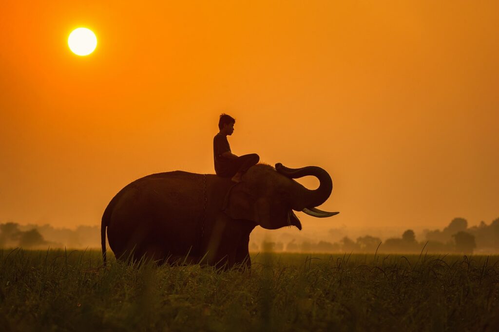 Que faire en tanzanie zanzibar | Safari Radar