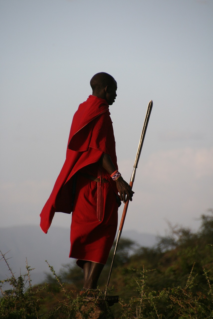 que ramener de tanzanie