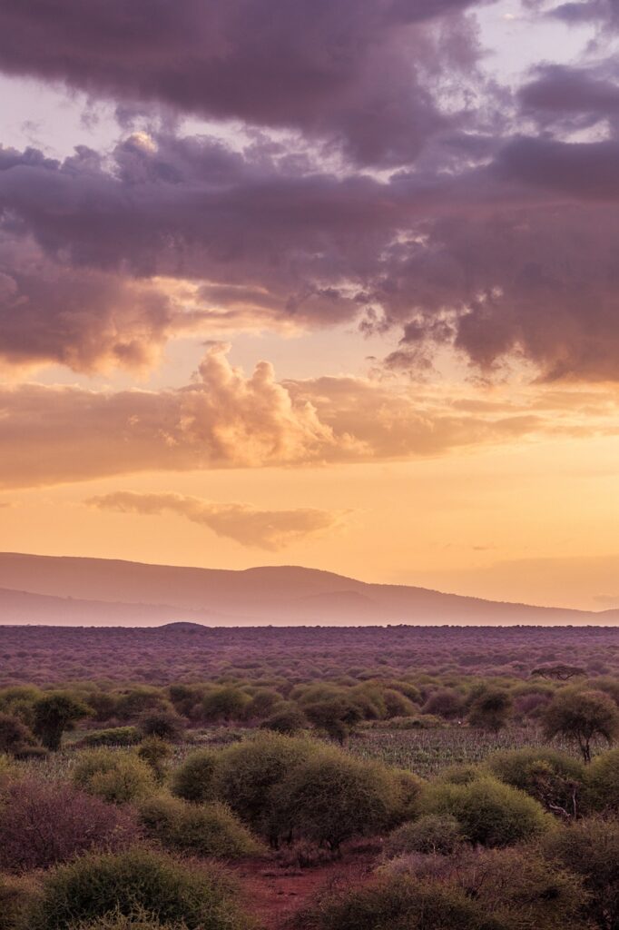 Que visiter en tanzanie | Safari Radar