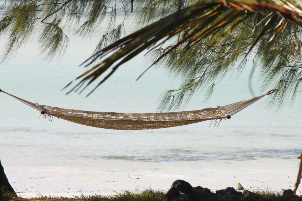 Quel vaccin pour aller en tanzanie | Safari Radar