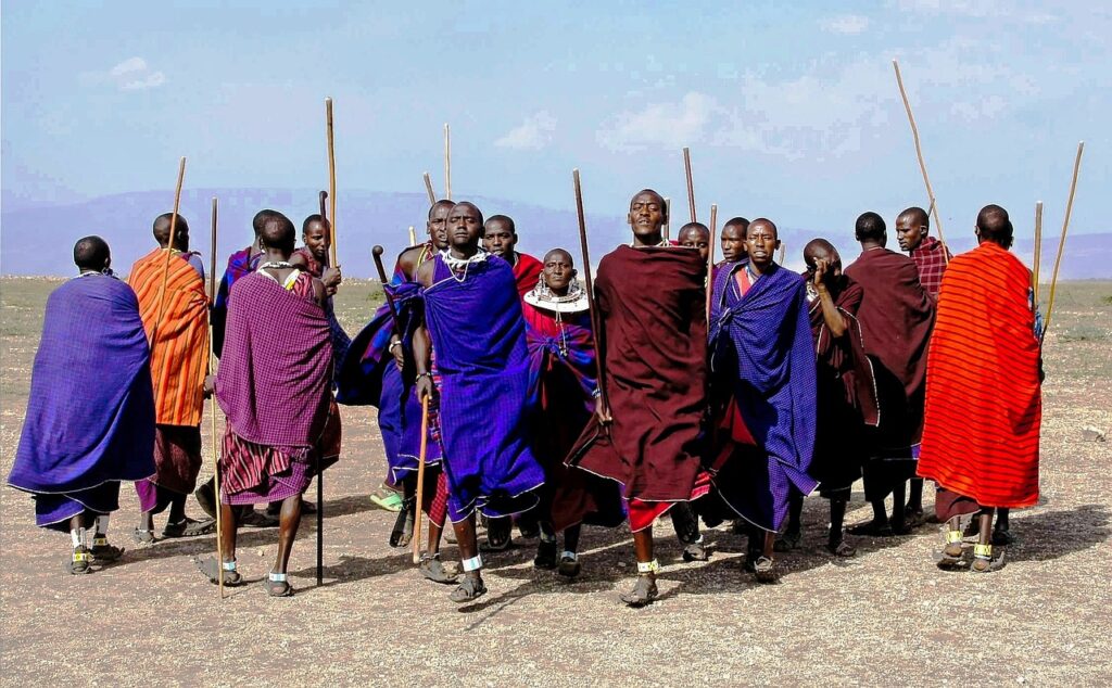 Quelle est la meilleure saison pour partir en tanzanie | Safari Radar
