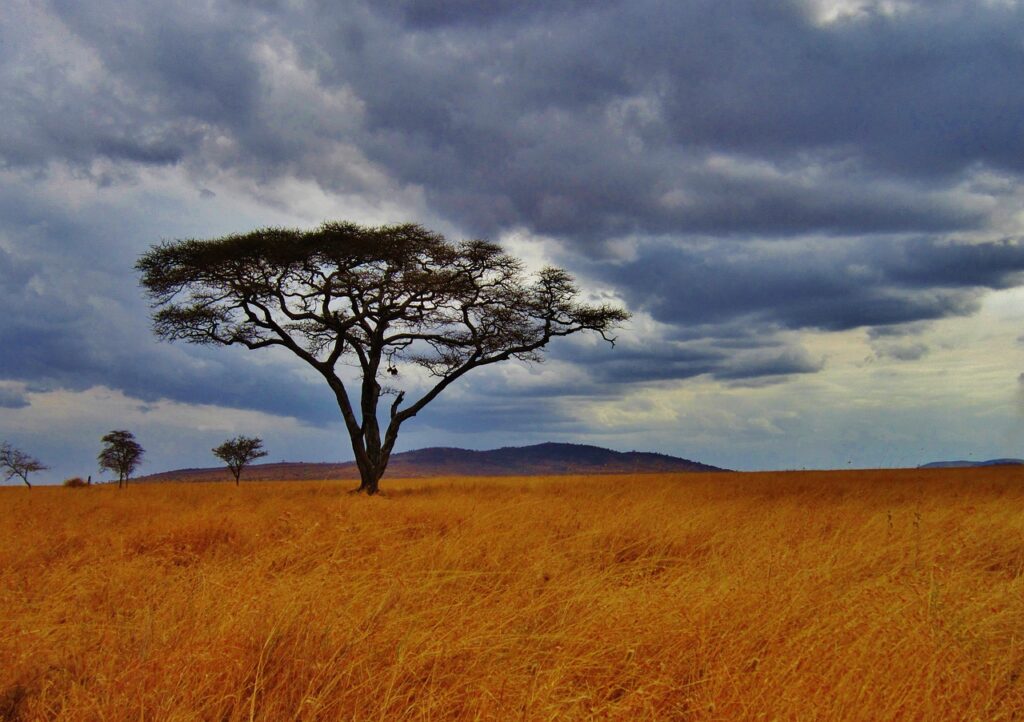 Quelle heure est il en tanzanie | Safari Radar