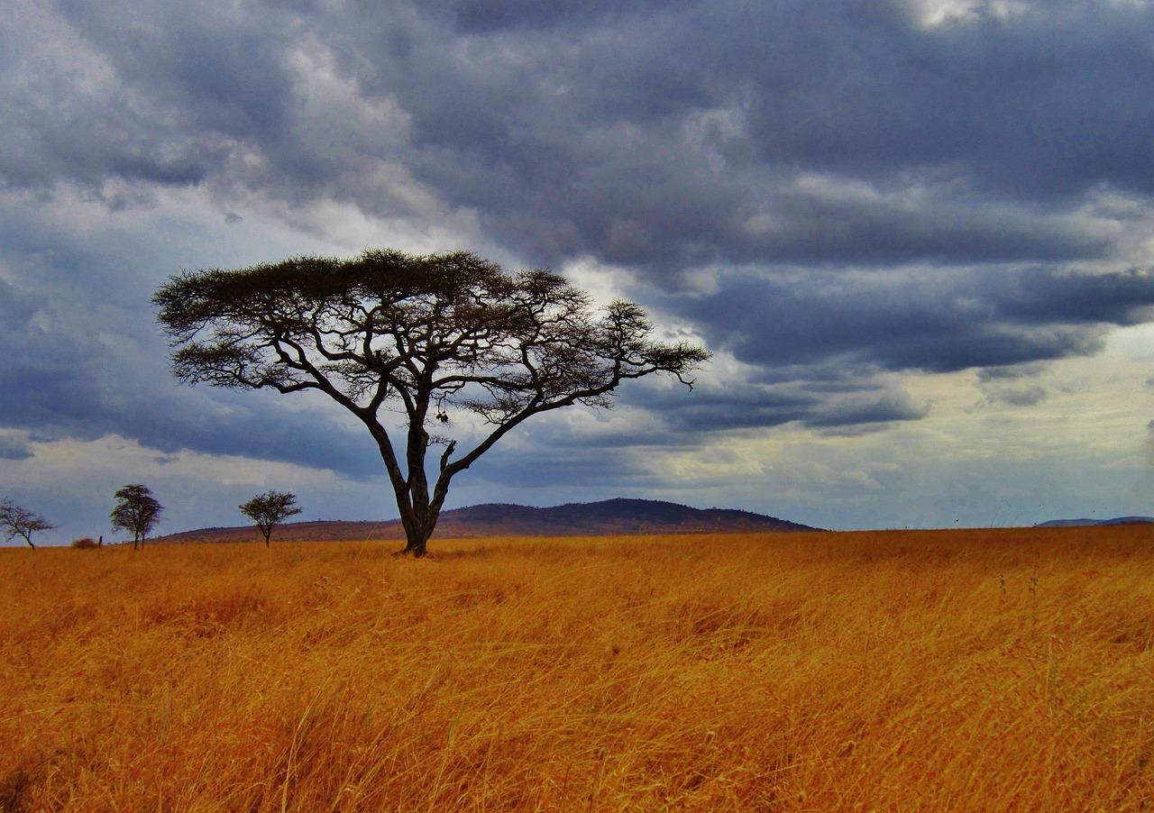 quelle heure est-il en tanzanie