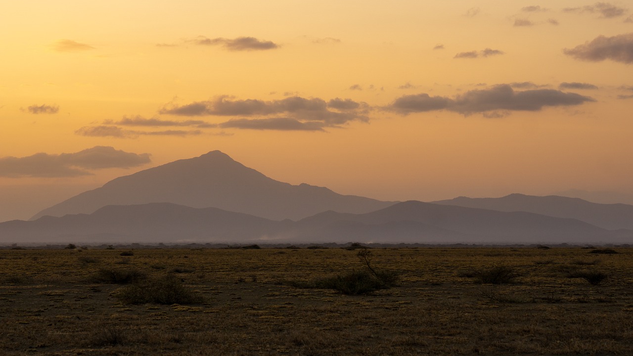 safarie en tanzanie