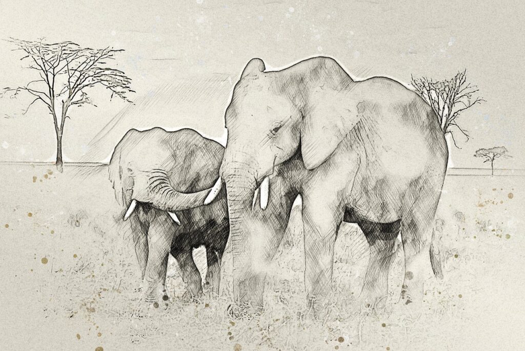Vetement safari tanzanie | Safari Radar