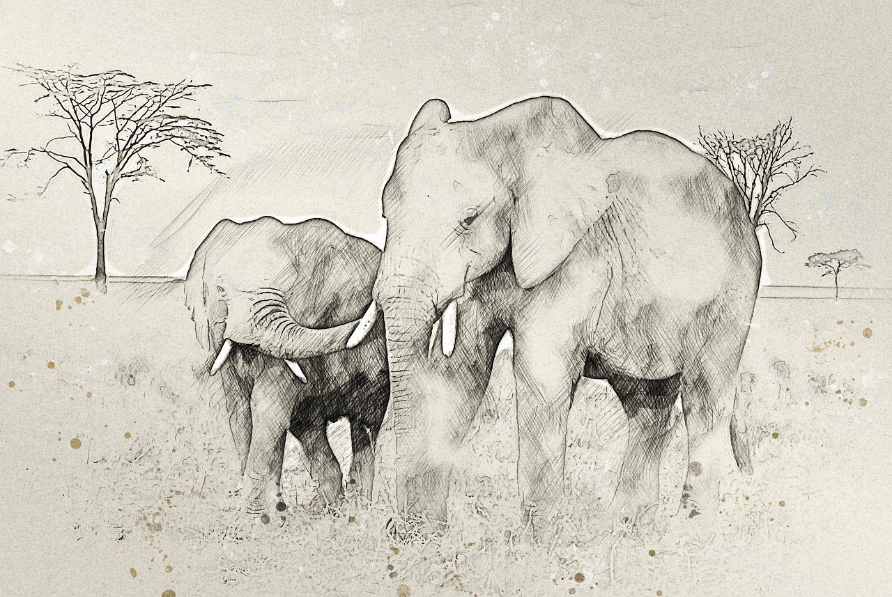 vetement safari tanzanie
