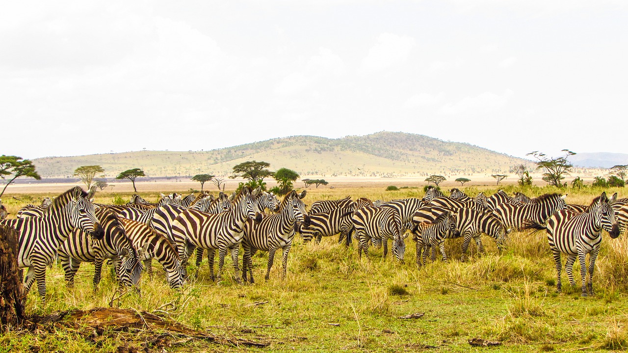 visa pour la tanzanie