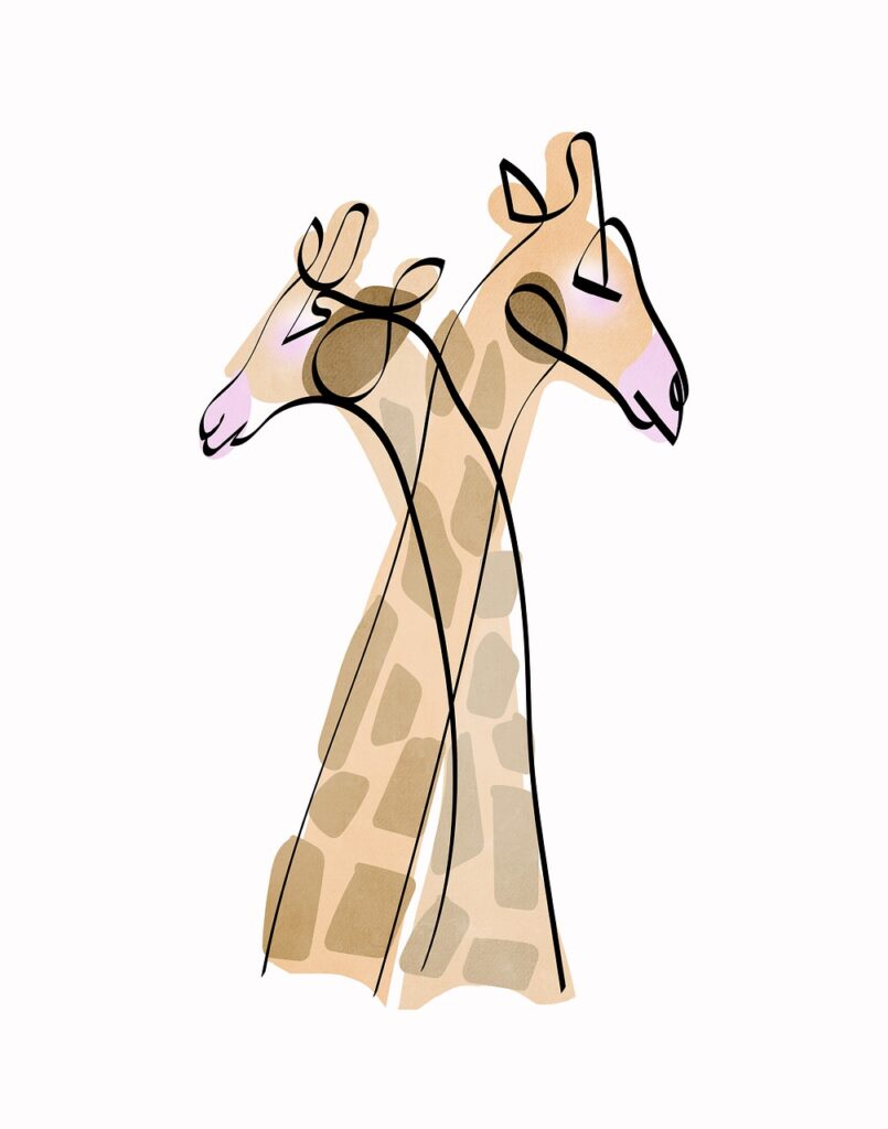 Douae safar | Safari Radar