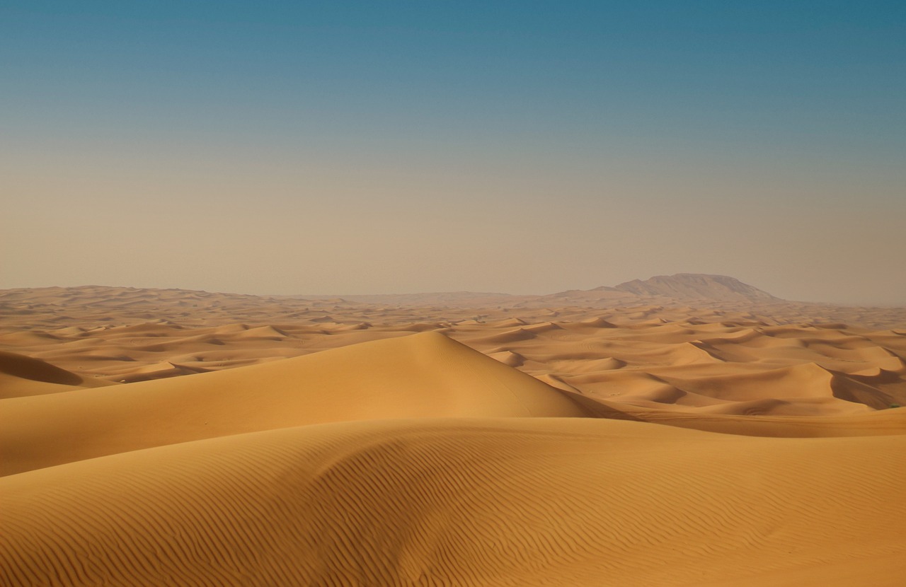 dubai safari