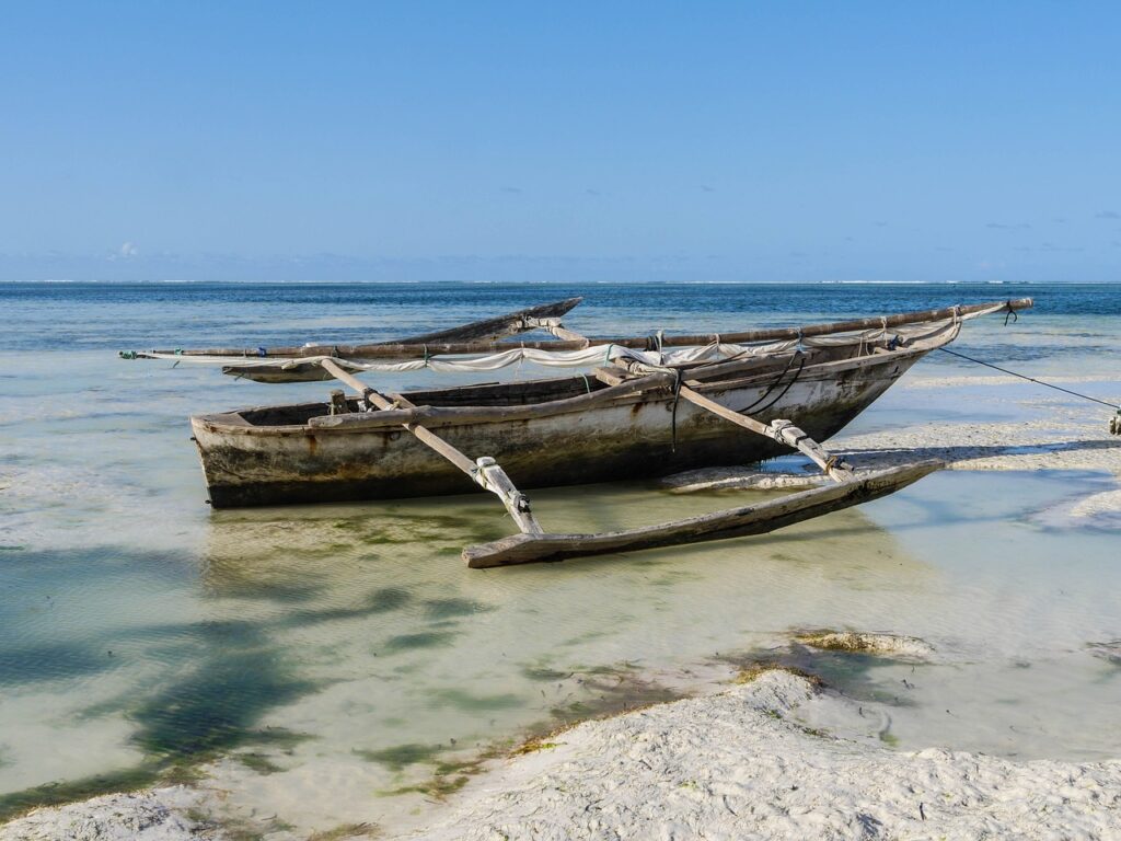 Quelle est la capitale de tanzanie | Safari Radar