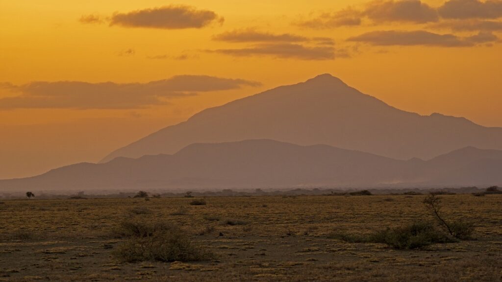 Voyage safari tanzanie zanzibar | Safari Radar