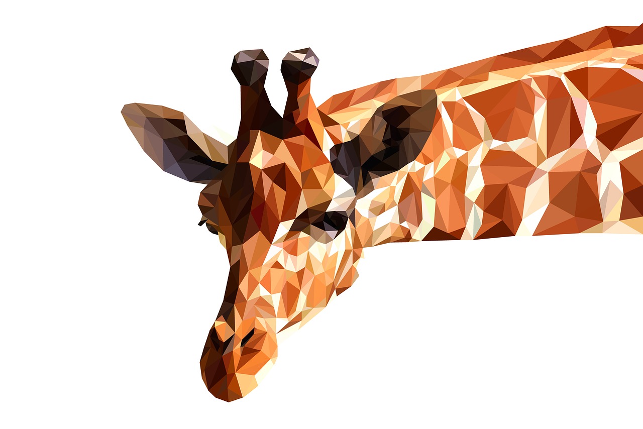jumelles pour safari