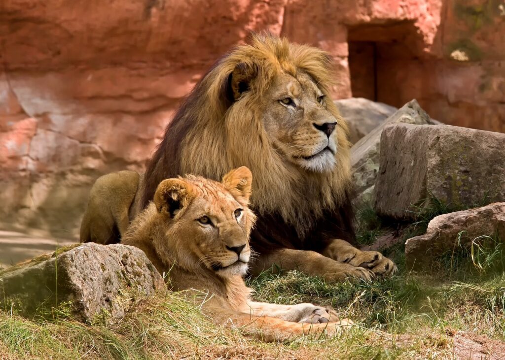 Combien d heure de vol tanzanie | Safari Radar