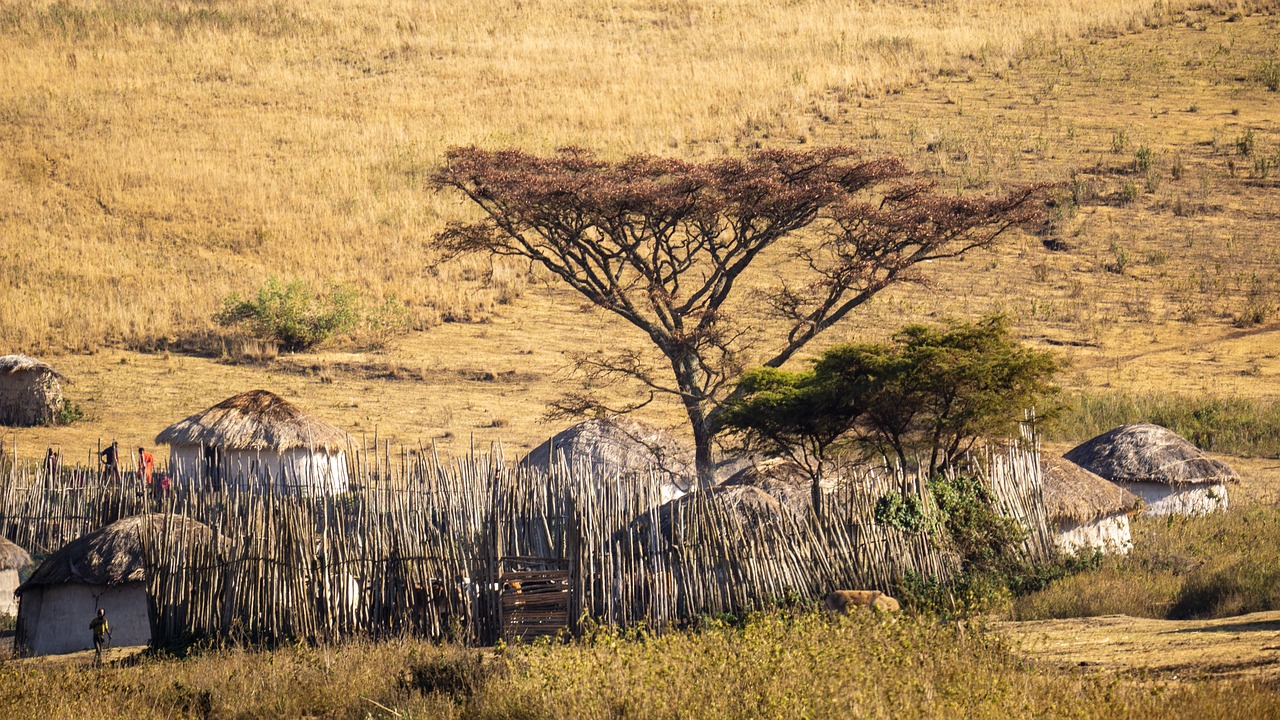 Cout safari tanzanie