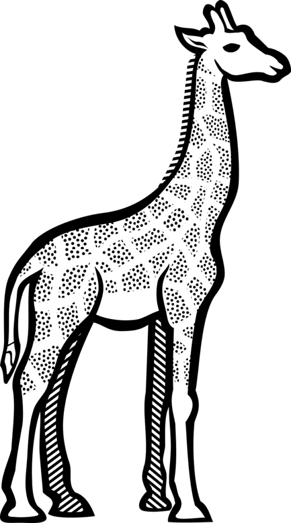 Africa safari selous | Safari Radar