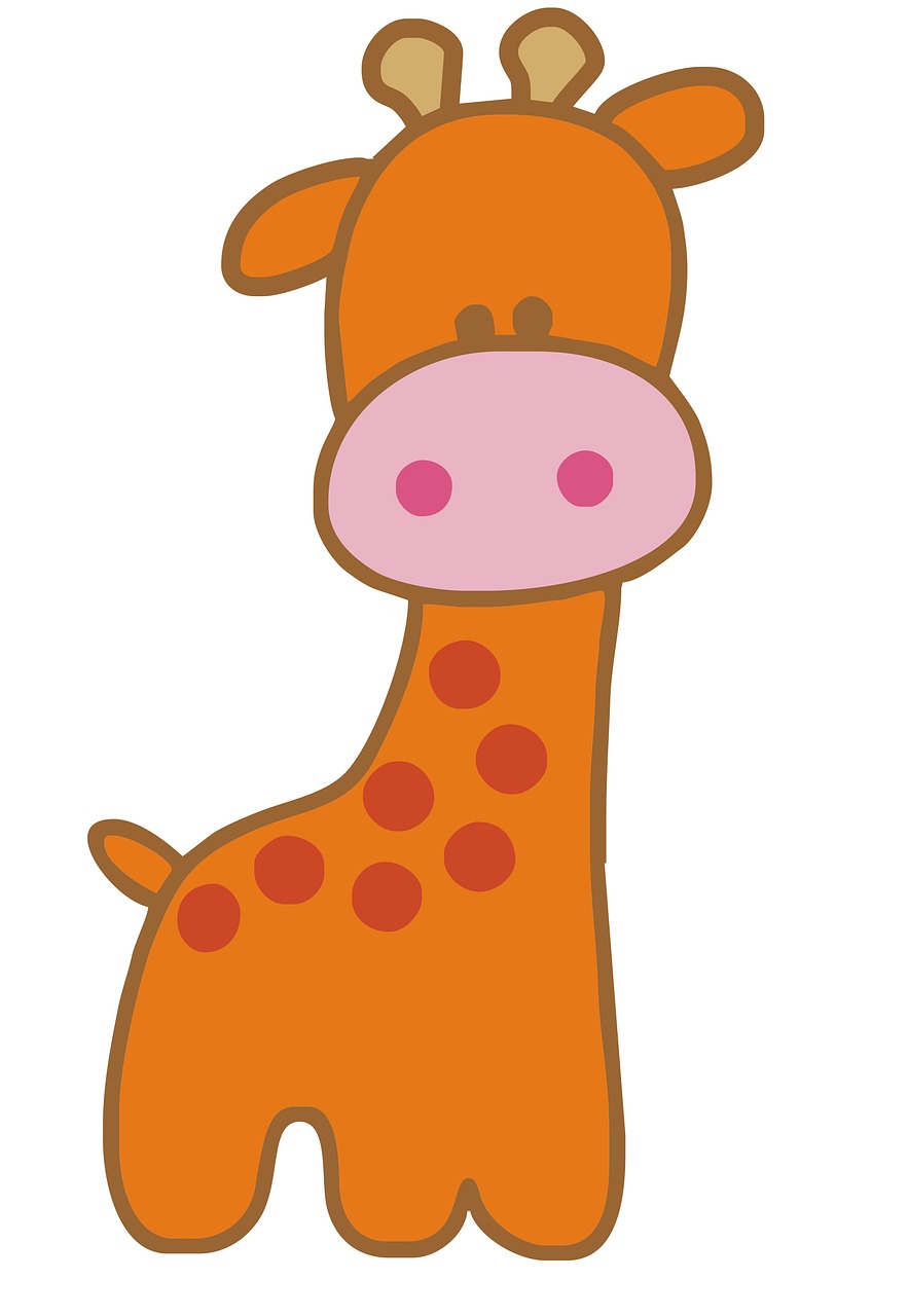 bapteme theme safari