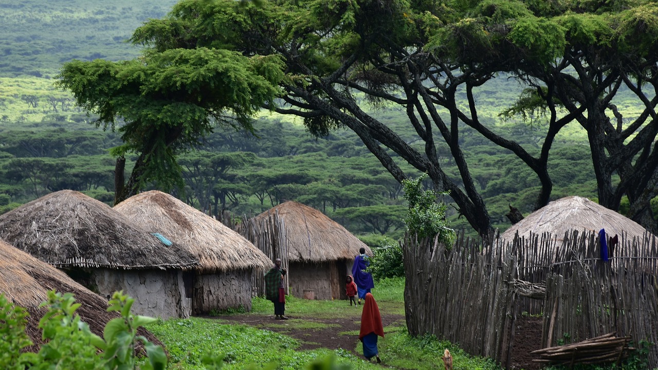 Prix safari tanzanie 2 jours