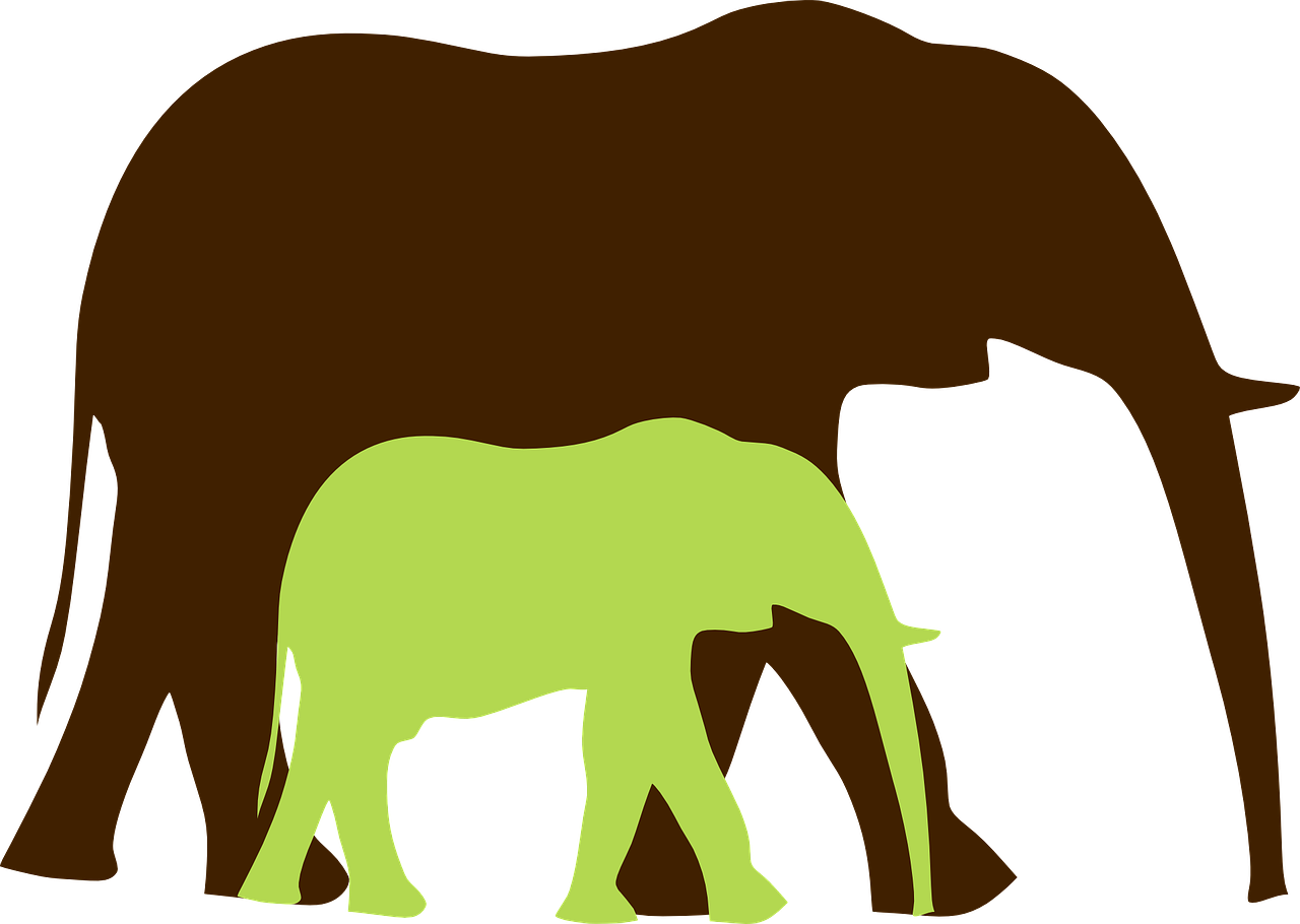 Safari voiture