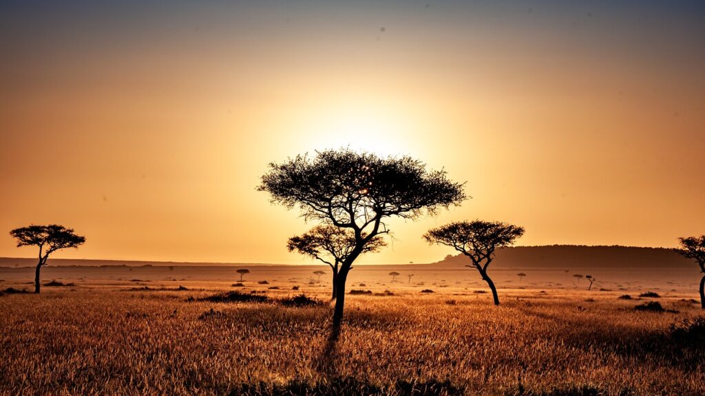 Tente safari lodge | Safari Radar
