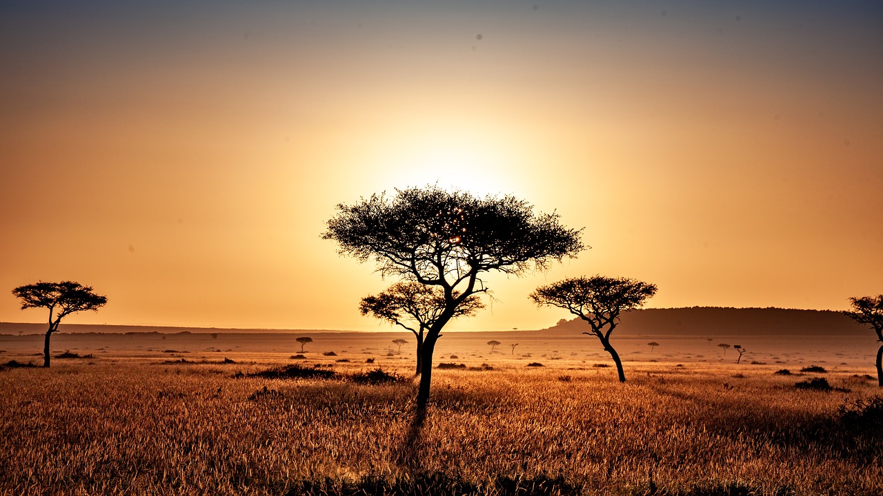 tente safari lodge