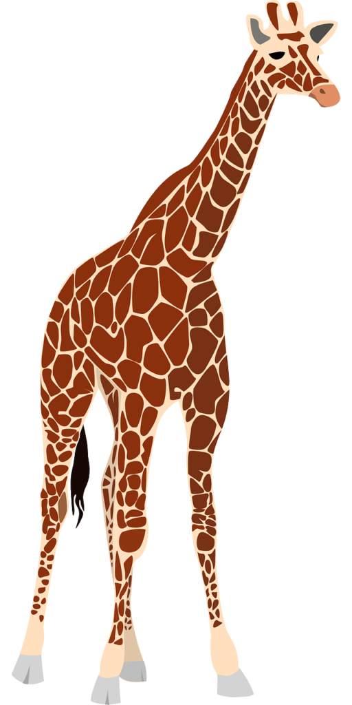 Kenya safari prix | Safari Radar