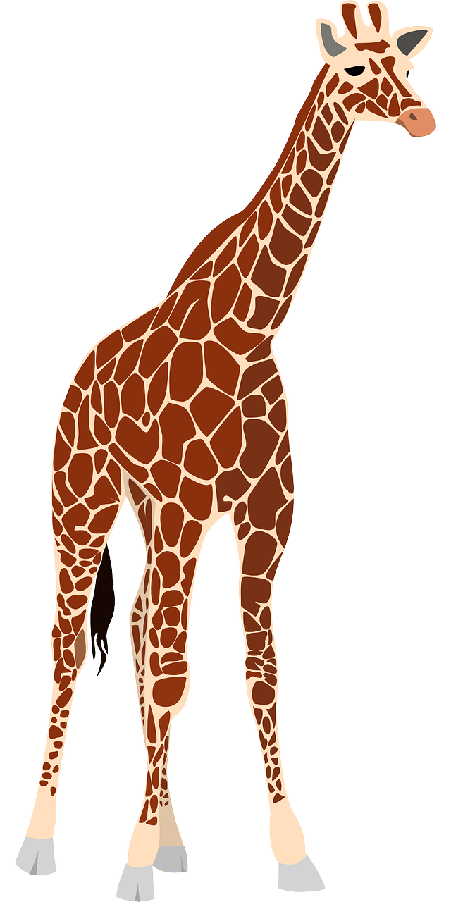 kenya safari prix