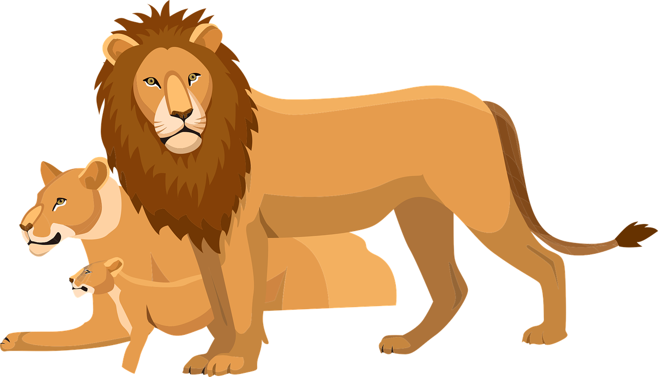 kruger safari