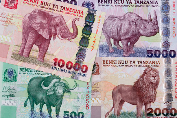 Peut-on payer en euros lors d'un safari ?