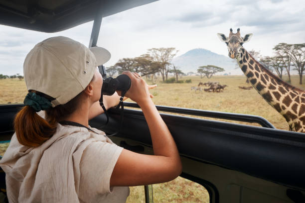 Quand faire un safari en Tanzanie ?