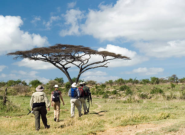 quelles chaussures pour safari tanzanie