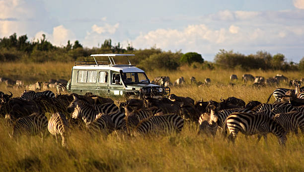 quelles chaussures pour safari tanzanie