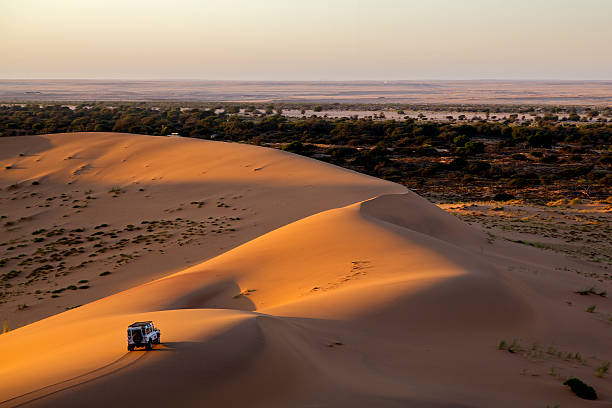 Safari Namibie